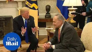 Trump tells Schumer hell take the blame for government shutdown