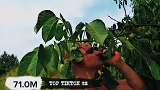 ТОП ТИК-ТОК #3 УГАР, КРИНЖ, ТЕСТ НА ПСИХИКУ