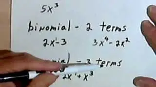 Classifying Polynomials 3-8