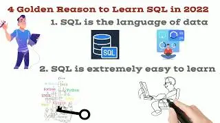 Reason to Learn SQL in 2022 | IQBees