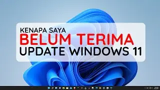 KENAPA SAYA BELUM DAPAT UPDATE WINDOWS 11? - PERTANYAAN PALING SERING SETELAH UPDATE WINDOWS 11