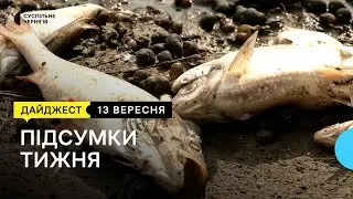 Мертва риба у Десні, як Чернігів готується до зими, лісівники на прикордонні | 13.09.2024