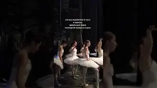 Swan Lake Ballet Dance | Ballerina Performance 