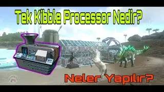 Tek Kibble Processor Nedir? Neler Yapılır? Ne İşe Yarar? | Ark Mobile
