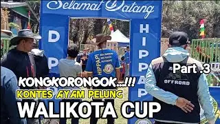 Kongkorongok kontes ayam pelung hippapi part.3