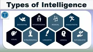 Types of Intelligence