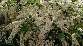 😳🤯 КТО ВЫ ДЛЯ НЕГО..ПО ЕГО МНЕНИЮ🤔😉