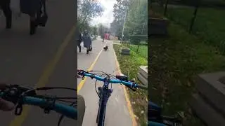 СОБАКА НА ВЕЛОДОРОЖКЕ 