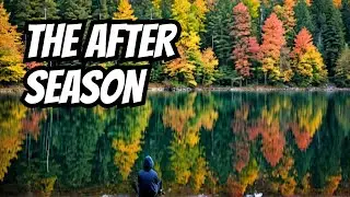 Episode 81: After Season