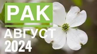 РАК ♋️ АВГУСТ 2024🚀 ТАРО ПРОГНОЗ НА МЕСЯЦ 💯 12 ДОМОВ ГОРОСКОПА TAROT NAVIGATION