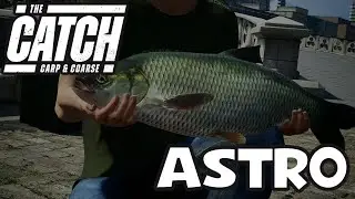 The Catch: Carp & Coarse - Astro - 21lb 3oz  - Boss Fish - Rotterdam