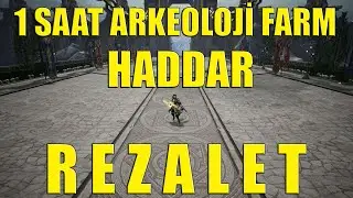 Rise Online 1 Saat Arkeoloji Farm | 20 Level Üstü