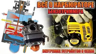 The principle of operation of the carburetor of the benzotrimmer / scheme 