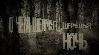 Оставили камеру ночью рядом с кладбищем/ Она уловила НЕЧТО/ Сamera at night caught SOMETHING