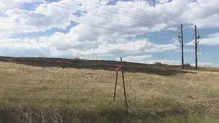 How utilities are working to stop bird electrocutions