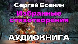 Аудиокнига Избранные стихотворения