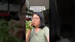 The Vietnamese garden update