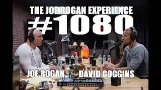 Joe Rogan Experience 