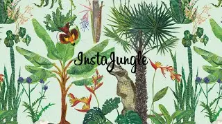Как раскрутить аккаунт в Instagram?