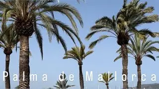 СОЛНЕЧНАЯ И КРАСИВАЯ PALMA DE MALLORCA | VLOG С НЕМКОЙ КРИСТАЛ