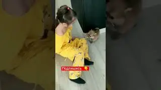 Схватил и утащил в логово 😲!