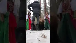 Съёмка с живым медведем в лесу России