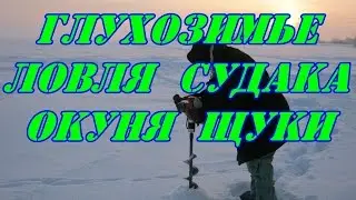 Глухозимье.Ловля судака,окуня,щуки.