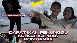IKAN PREDATOR DI SUNGAI KAPUAS PONTIANAK || #mancing #strike #sungaikapuas #pontianak