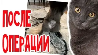 И ничего с ней не сделаешь! 