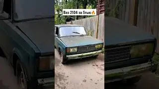 Разбудили мамонта😁 