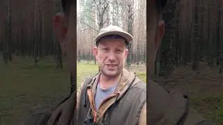 THE BEST FREE WAY TO 100% PROTECT AGAINST MOSQUITOES AND MIDGES!