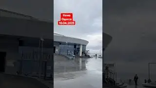 Немо.Одесса.10.04.2025 