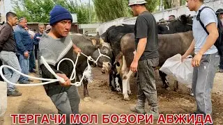 Тергачи Мол бозори Авжида 