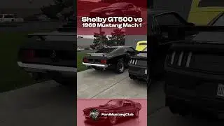 1969 Mustang Mach 1 vs Shelby GT500? 🏎️