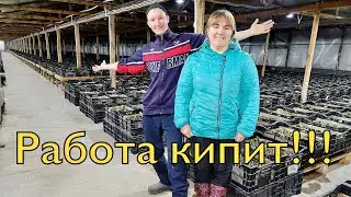Свое производство | Работа кипит