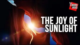 Beautiful Calming Instrumental Music For Sleeping & Meditation [The Joy of Sunlight]