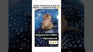 Чисто я 😹☀️