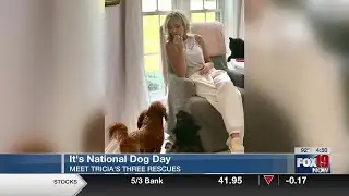 Tricia shares photos of her dogs on National Dog Day