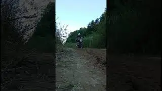Вечерние покатушки