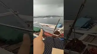 Работа на катамаране остановилась?!