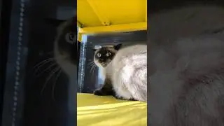 Не могу поверить в то, что только что произошло 