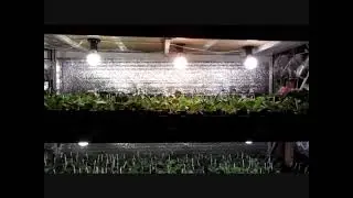 СТЕЛЛАЖ ДЛЯ ФИАЛКИ  ПОЛКИ ДЛЯ КОМНАТНЫХ РАСТЕНИЙ