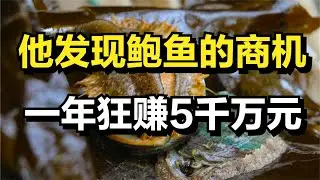 他发现鲍鱼的商机，一斤能卖3000元，一年狂赚5千万元！
