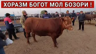 ХОРАЗМ МОЛ БОЗОРИ 22-СЕНТЯБР 2021г. ХОРАЗМ БОЗОР