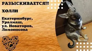 ДОМА! ХОЛЛИ. Екатеринбург, Уралмаш, ул. Новаторов, Ломоносова