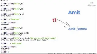 Understanding Variables in Python