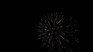 firework sky 2024. christmas. shining colorful golden firework sky. background glowing display new
