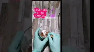 Ажинга карши  юзлар учун никоб. Маска для лица от  морщин.