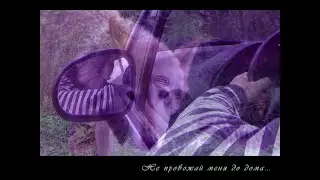 Не провожай меня до дома... (короткометражка)