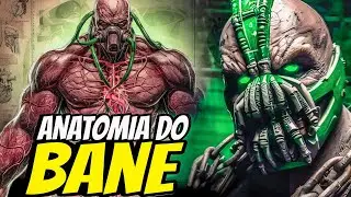 ANATOMIA BIZARRA DO BANE EXPLORADAS - QUAIS ESTEROIDES ELE USA - QUÃO FORTE ELE É?